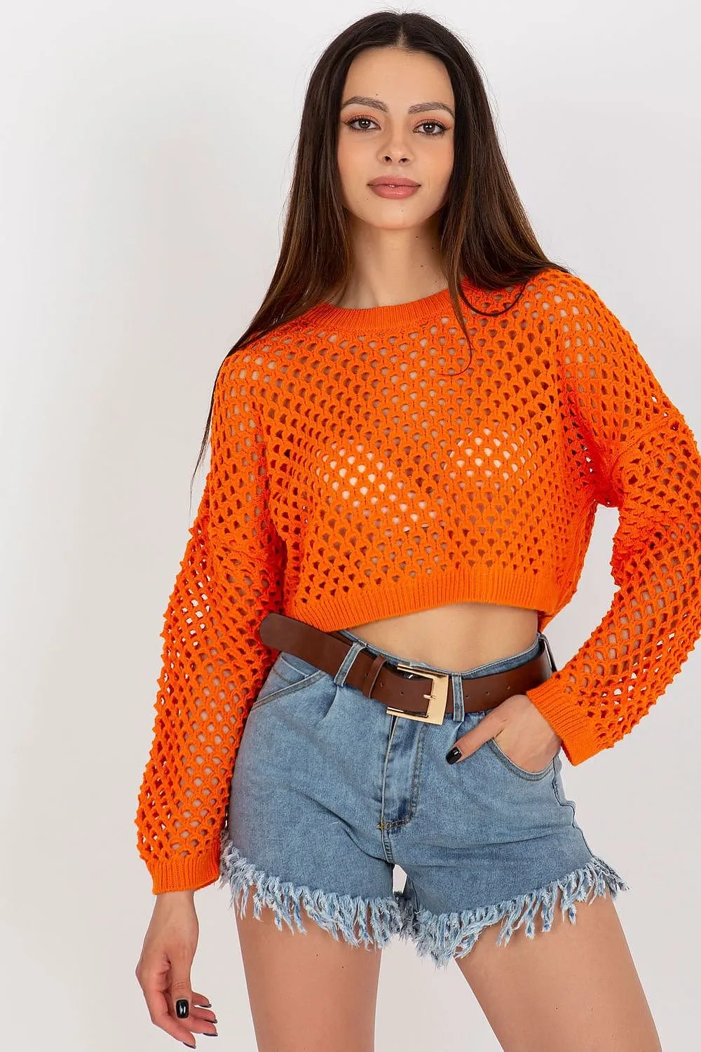 TEEK - Crop Mesh Long-Sleeved Top