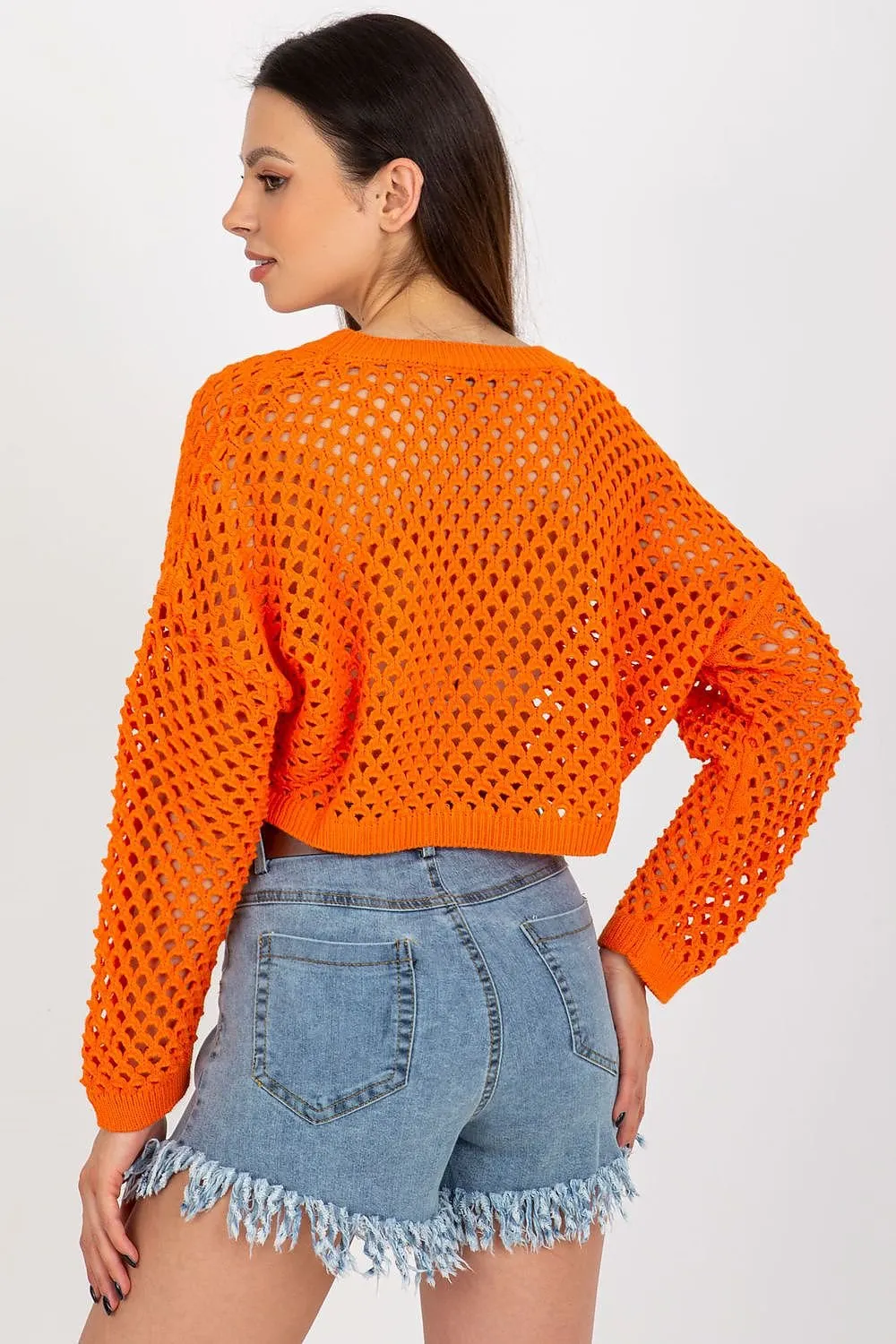 TEEK - Crop Mesh Long-Sleeved Top